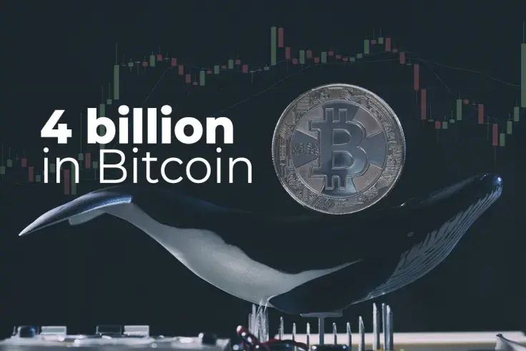 Whales Shift More $4 Billion in Bitcoin, While BTC Declines to $48,500