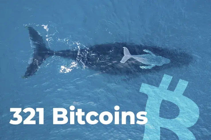 Whale Grabs 321 Bitcoins, While BTC Is Dropping, Holds 111,794 BTC in Total