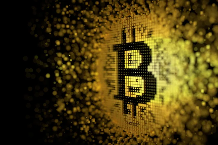 Steve Hanke Calls Bitcoin Highly Speculative Asset with Fundamental Value of Zero