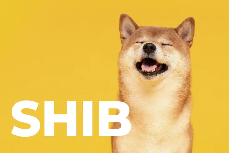 73% Respondents Getting SHIB, Dismissing FLOKI, Recent Poll Shows