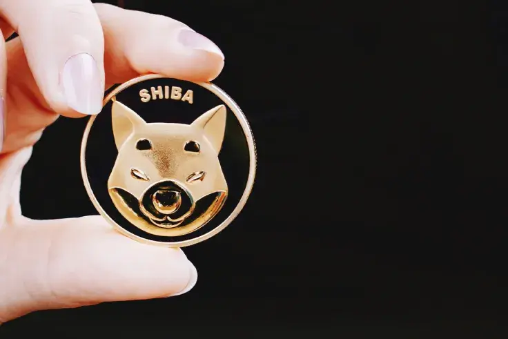 SHIB Not Hurt by Elon Musk's Negative Tweet, David Gokhshtein Explains Why