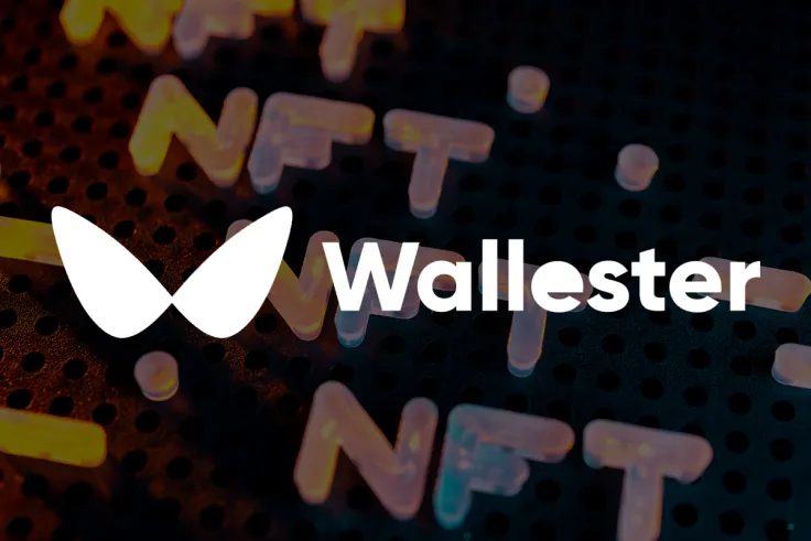 Visa Partner Wallester Purchases Its First 33 NFTs