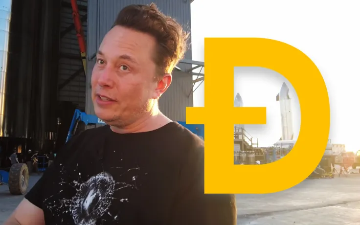 Elon Musk Named New Fake Board Chairman of Dogecoin