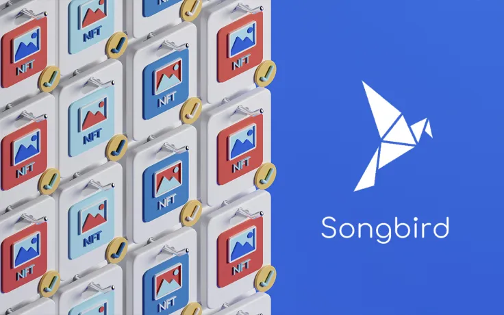 NFT Collection Goes Live on Flare's Songbird: Details