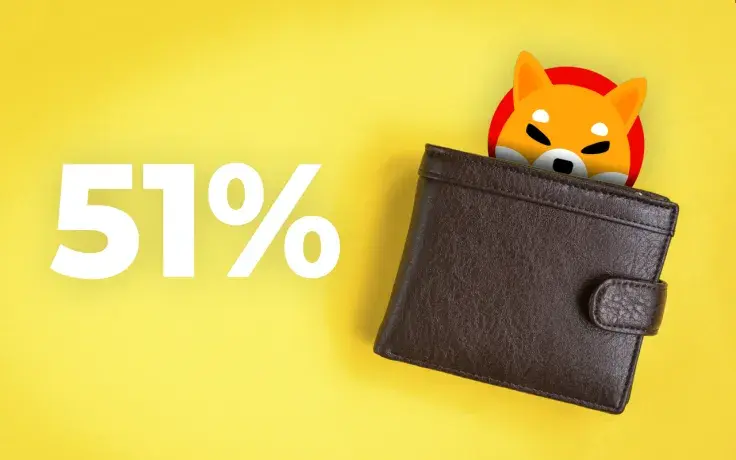 Here's Who Is Actually Holding 51% of SHIB Supply