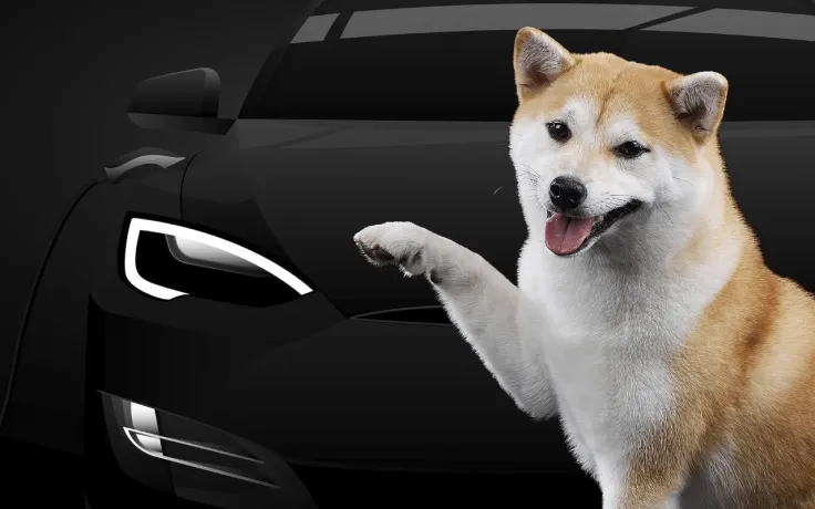 Shiba Inu Compared to Amazon-Backed Tesla Competitor by Early Lyft Investor