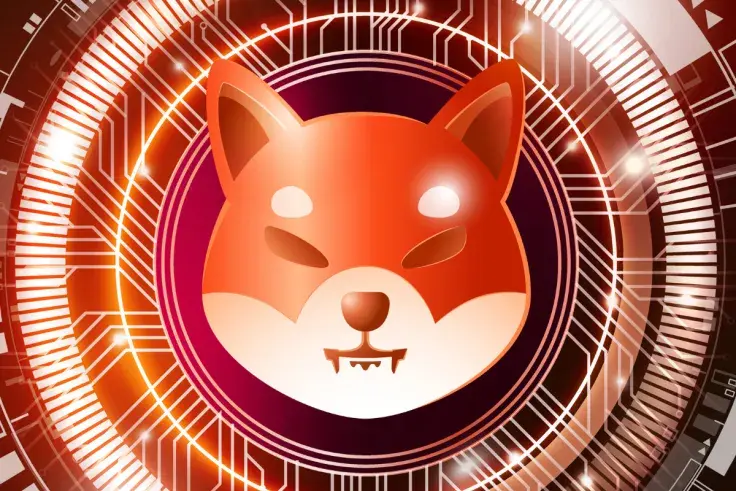 Whales Stopped Moving SHIB, Large Transactions Drop 7%