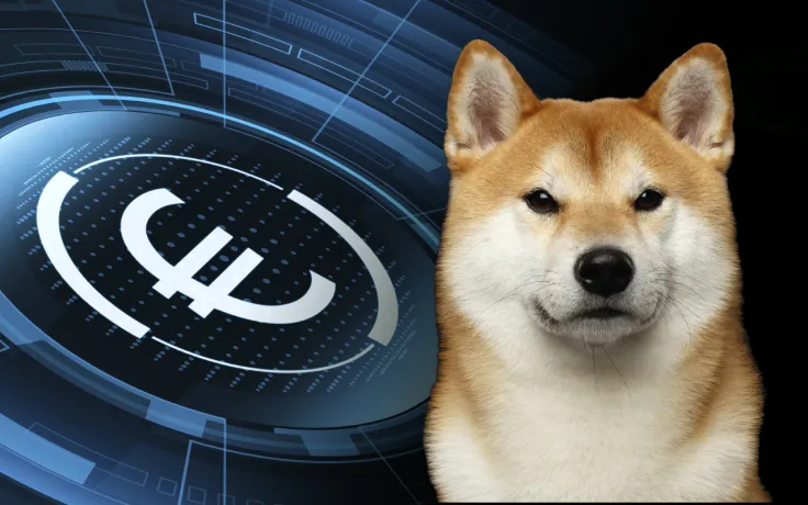Shiba Inu Can Now Be Traded Against Euro on Peter Thiel-Backed Crypto Trading Platform