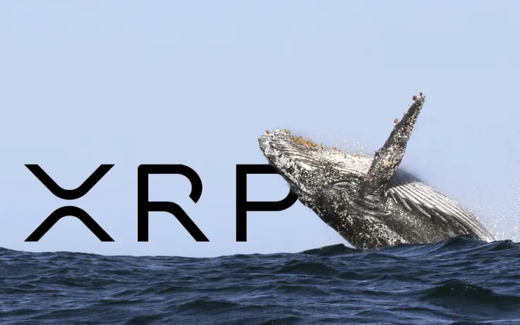 XRP Whale Withdraws 10 Million Coins from Exchange