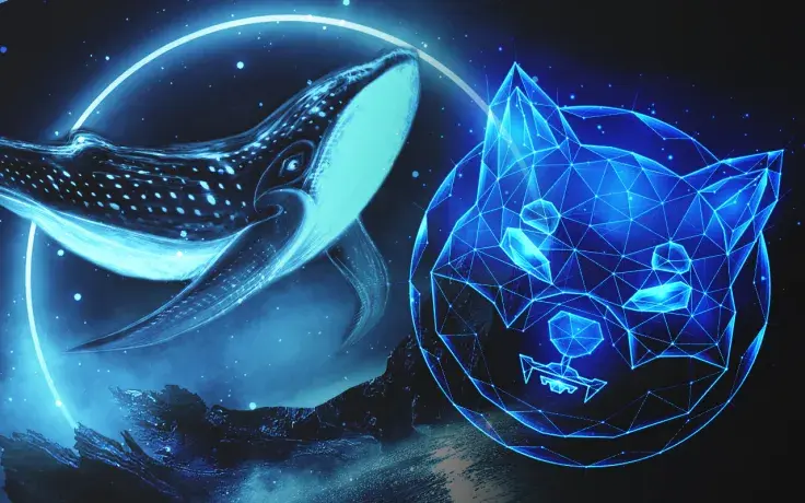 This Whale Bought 35 Billion SHIB While Market Was Crashing