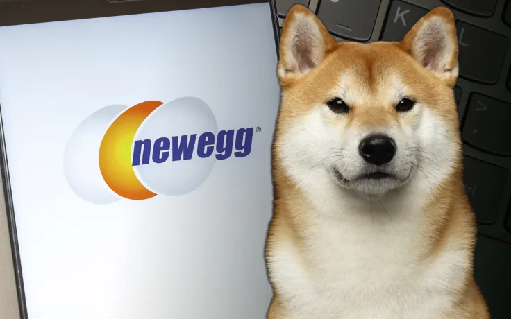 Here's When and How Newegg Is Going to Accept Shiba Inu
