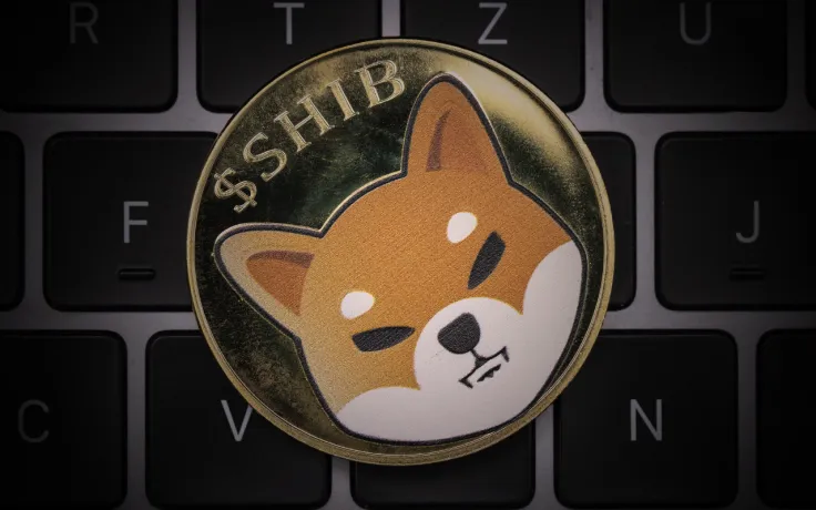 SHIB Community Burned About 2 Billion SHIB in November