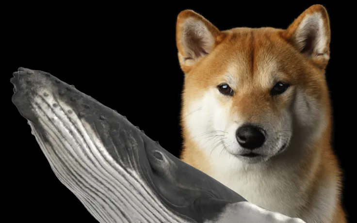 SHIB Whales Dumped $400 Million on Market in Last 24 Hours