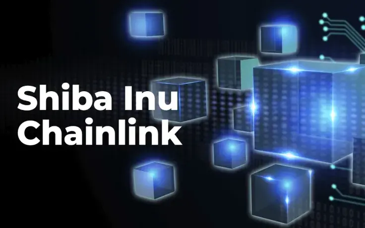 Shiba Inu, Chainlink Among Top 10 Purchased Tokens as Market Volatility Continues