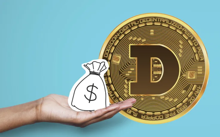 Large Investor Increases Dogecoin Holdings by 6.3 Million Coins