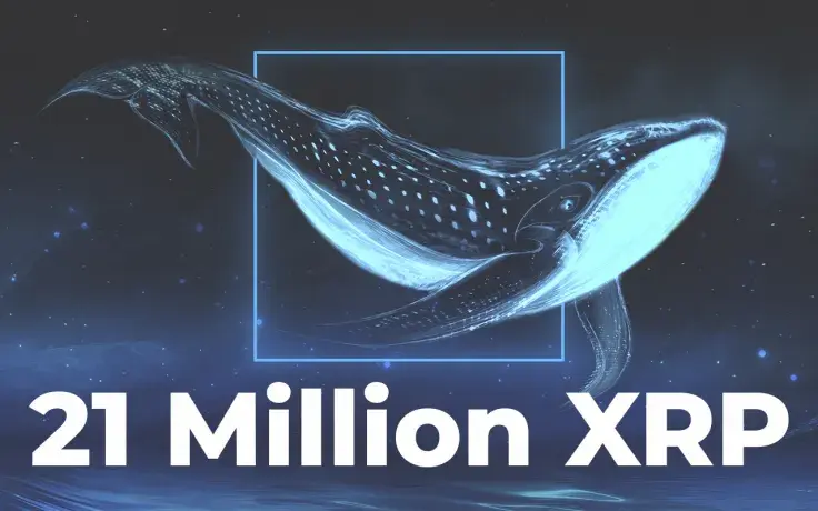 Whale Moves 21 Million XRP to Binance as Price Drops to $0.7