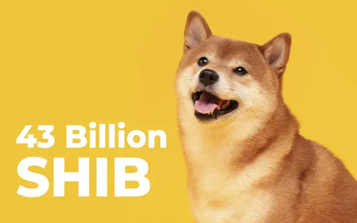 43 Billion SHIB Received by Whale in Past 2 Days But Only 2 Billion Left Now