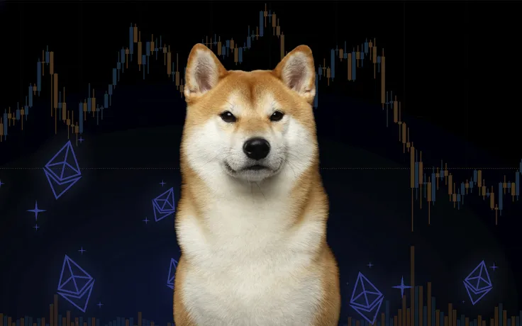 Shiba Inu Becomes 3rd Largest Holding Among Ethereum Whales