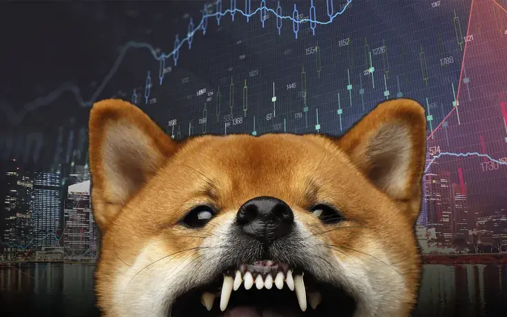 Large Shiba Inu Investors Continue to Accumulate Despite Price Correction