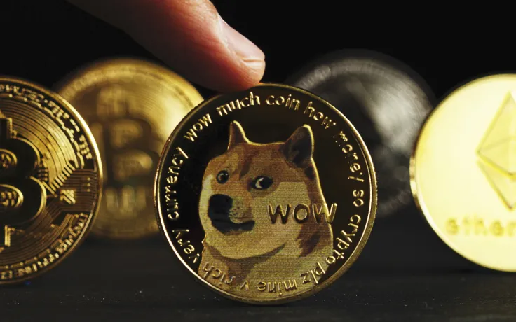 Dispose of Dogecoin and Meme Stocks: North Island Chairman's Outlook for 2022
