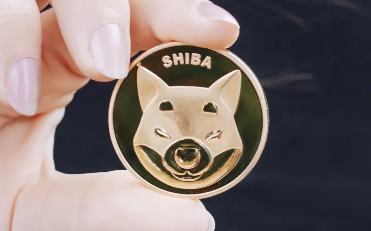 SHIB Now Has Over 1 Million Holders as Ethereum Whales Control 9% of Supply