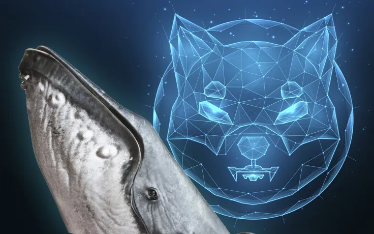 34 Billion SHIB Acquired by 13th Biggest Whale "Tsunade," Adding up to 163.2 Billion SHIB