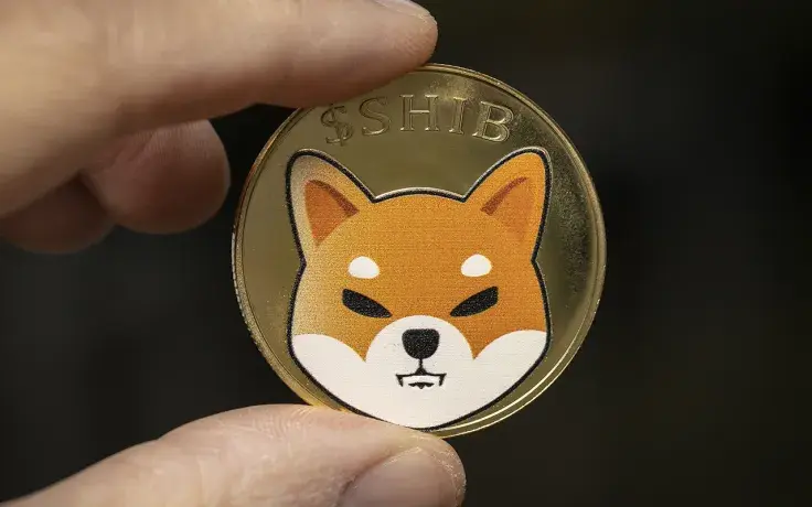 20.7 Billion SHIB Tokens Bought by Whales in Past Hour