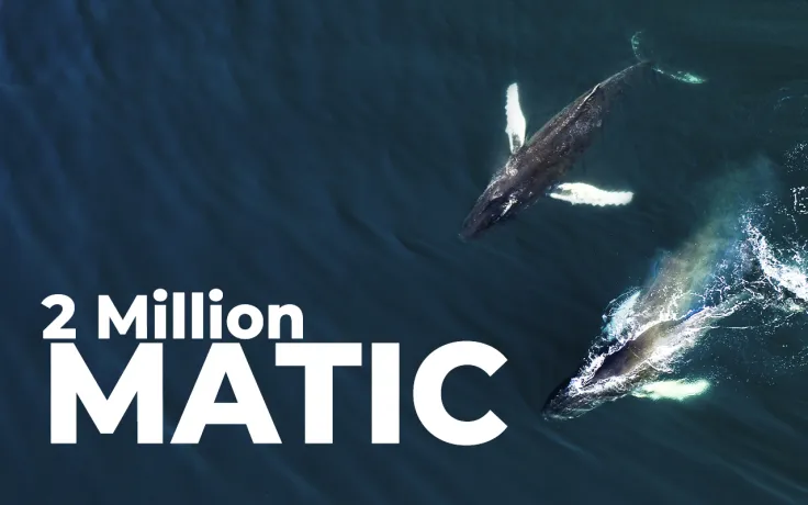 Two Major Ethereum Whales Buy 2 Million MATIC in Past 24 Hours