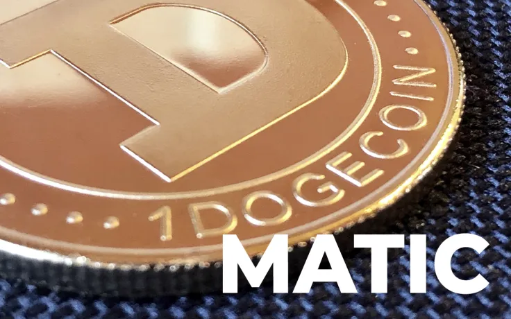 Whales Shift $2.4 Million Worth of DOGE and $86 Million in MATIC Over Past Hour