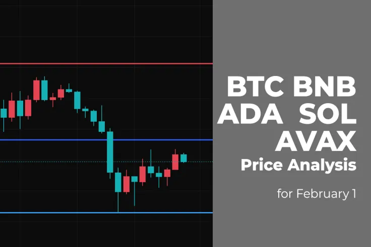 BTC, BNB, ADA, SOL and AVAX Price Analysis for February 1