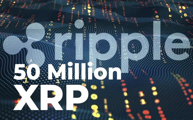 Ripple Sends 50 Million XRP to Unknown Wallet, Here Is Potential Reason