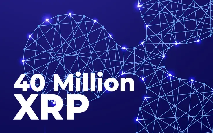 These Ripple ODL Platforms Receive 40 Million XRP in Merely Hour from Anon Wallet
