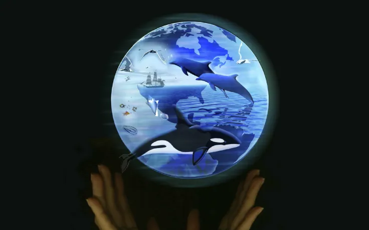 Here's Why Bitcoin and Ethereum Will No Longer Be Accepted by International Animal Rescue