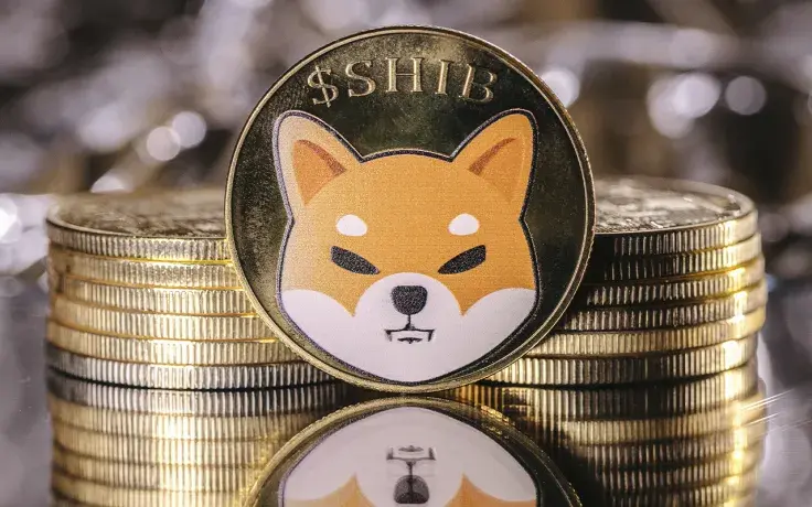 63 Billion SHIB Tokens Purchased by These Whales Just Recently