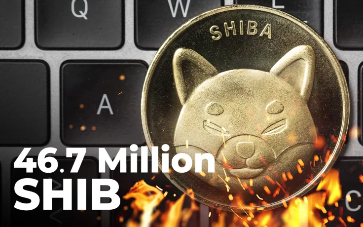 46.7 Million SHIB Burned in Over 24 Hours, While Burn Pot of This Company Rises to 191 Million Tokens