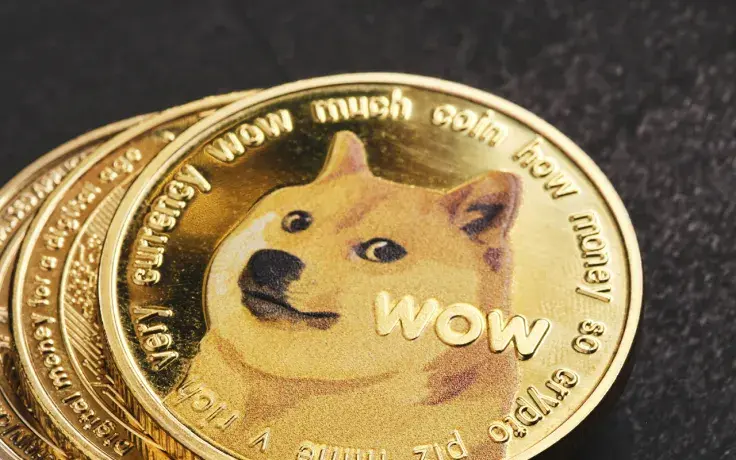 $46.9 Million in Dogecoin Held by Top BSC Whales Now