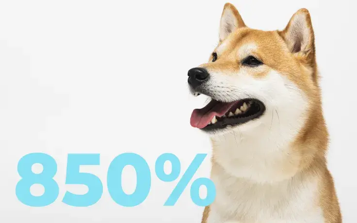 Shiba Inu's Net Flow Spikes 850%, Buying Power Returns to Markets