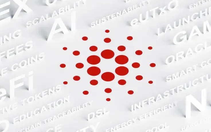 Cardano Foundation Announces a Shift in Leadership: Details