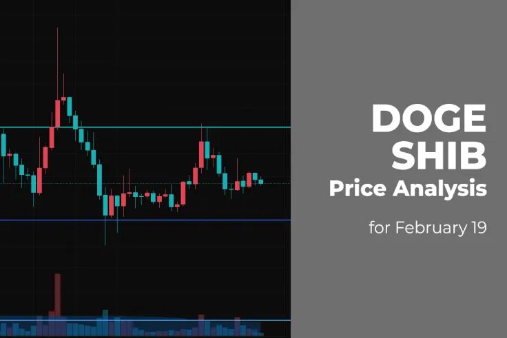 DOGE and SHIB Price Analysis for February 19