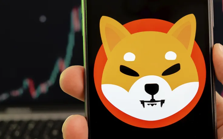 324 Million SHIB Burned This Month by This Major Token Burner