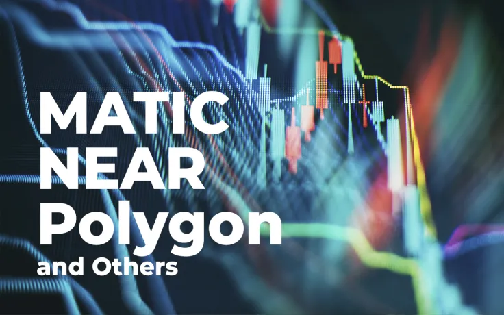 MATIC, NEAR, Alliance and Other Alameda Research Picks Showed Explosive Growth in 2021