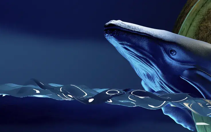 Whales Keep Buying MATIC and LINK, While Holding Large Amount of SHIB