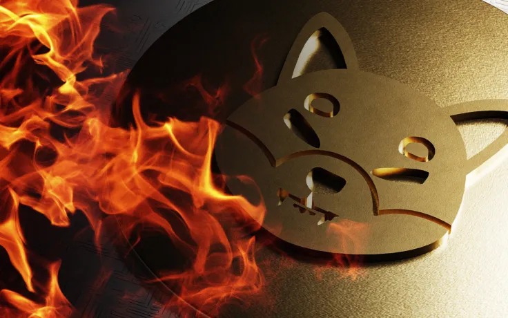 49 Million Shiba Inu Tokens Burned Amid SHIB's 15% Rise
