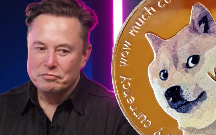 Elon Musk Hints Dogecoin Army Is Pulling Out All Stops to Get McDonald's to Accept DOGE