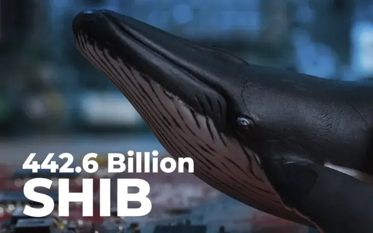 SHIB Whale Buys 442.6 Billion Shiba Inu in Single Transfer: Details