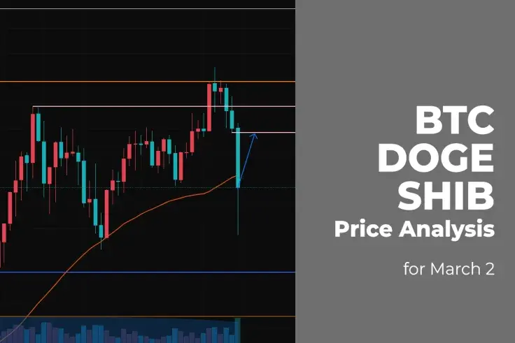 BTC, DOGE and SHIB Price Analysis for March 2