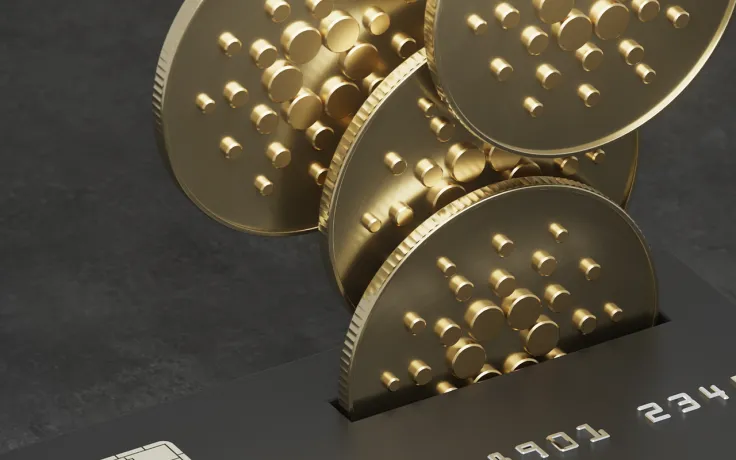 Cardano Whales Keep Buying ADA, Now Hold 12.47 Billion Coins: Report