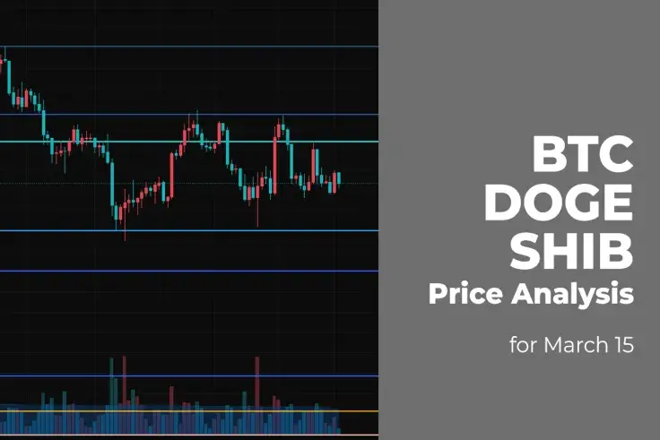 BTC, DOGE and SHIB Price Analysis for March 15