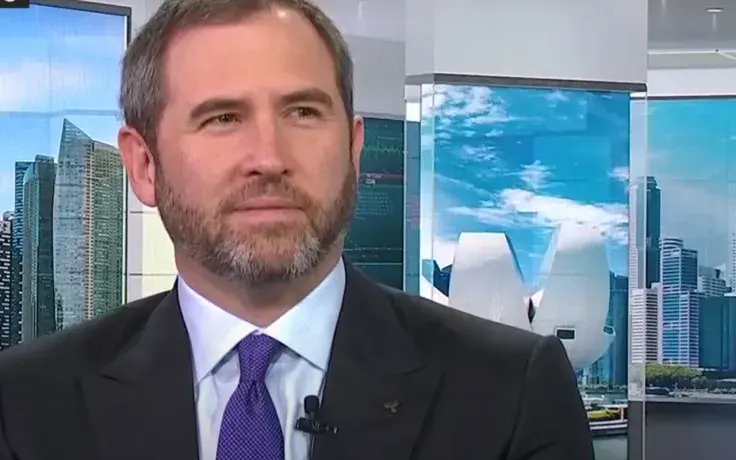 Ripple CEO "Very Pleased" with Recent Court Decision