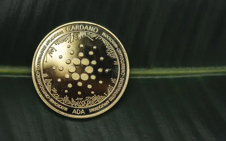 Cardano's Total Value Locked Hit $224 Million with SundaeSwap Dominating Half of It